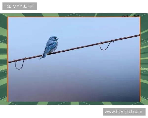 探索弗格的魅力与影响力揭示其在当代文化中的独特地位与价值